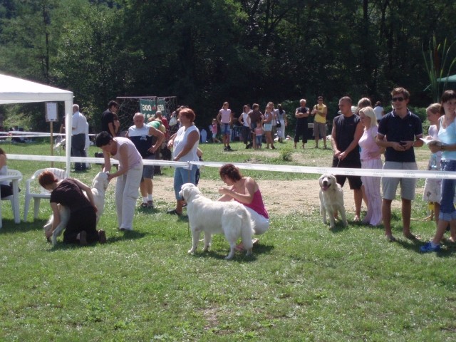 26.08.2007 - CAC Trbovlje [Ocena: Odlicno 2] - foto povečava