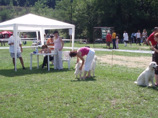 26.08.2007 - CAC Trbovlje [Ocena: Odlicno 2] - foto povečava