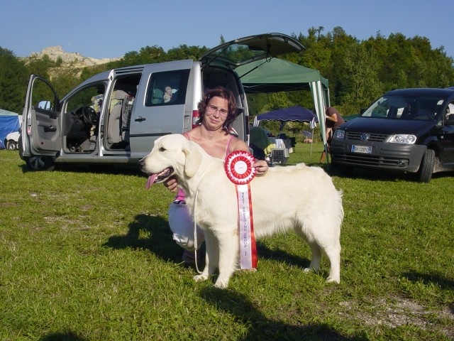 26.08.2007 - CAC Trbovlje [Ocena: Odlicno 2] - foto povečava