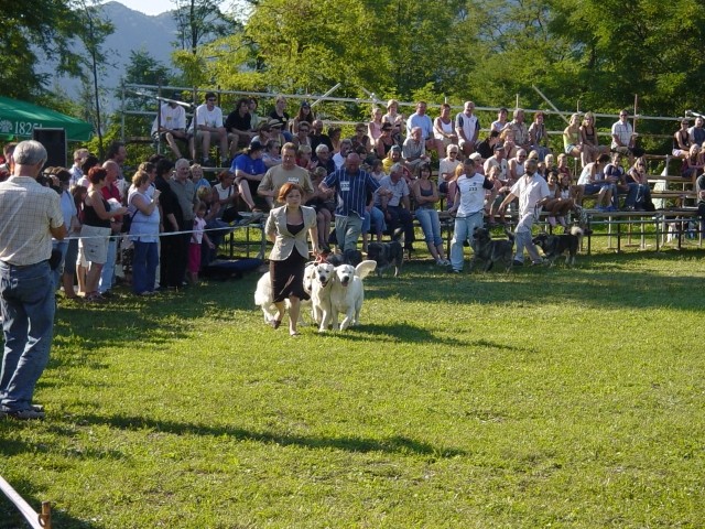 26.08.2007 - CAC Trbovlje [Ocena: Odlicno 2] - foto povečava