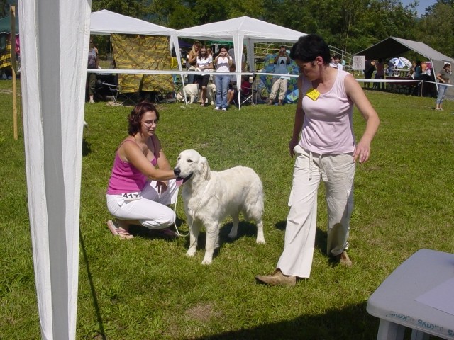 26.08.2007 - CAC Trbovlje [Ocena: Odlicno 2] - foto povečava