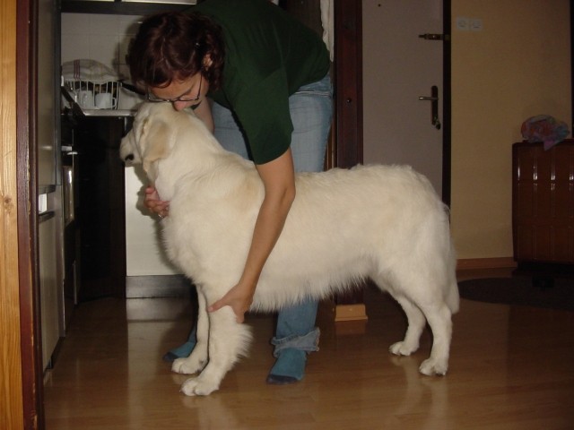 07.09.2007 - Cosmo skopan - foto