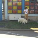 08.09.2007 - CACIB Umag [Ocena: Prav dobro]