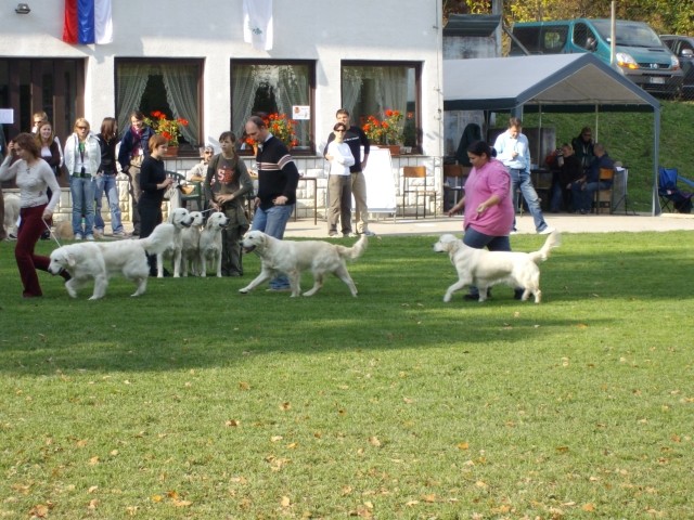 13.10.2007 - Razstava SKR Ljubljana-Brdo [Oce - foto povečava