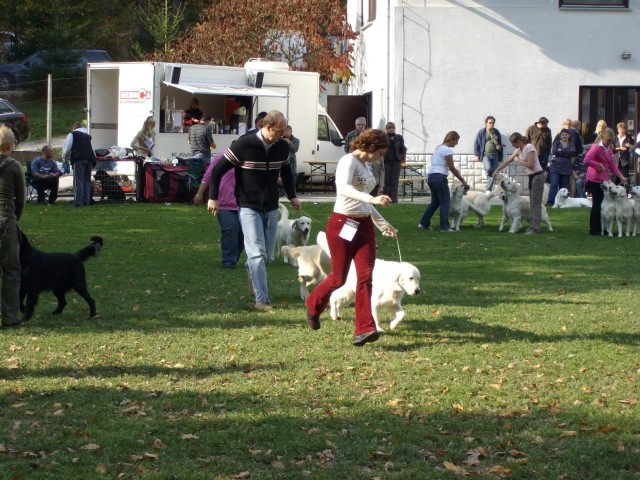 13.10.2007 - Razstava SKR Ljubljana-Brdo [Oce - foto