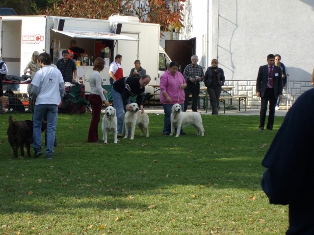 13.10.2007 - Razstava SKR Ljubljana-Brdo [Oce - foto