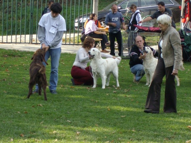 13.10.2007 - Razstava SKR Ljubljana-Brdo [Oce - foto