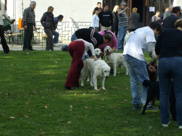 13.10.2007 - Razstava SKR Ljubljana-Brdo [Oce - foto