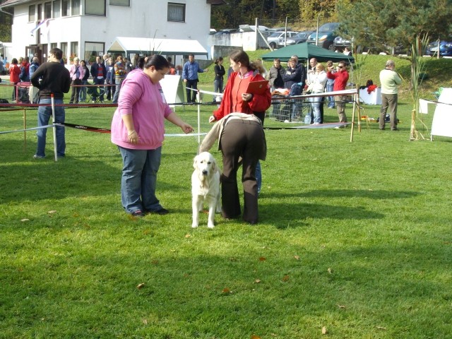 13.10.2007 - Razstava SKR Ljubljana-Brdo [Oce - foto povečava