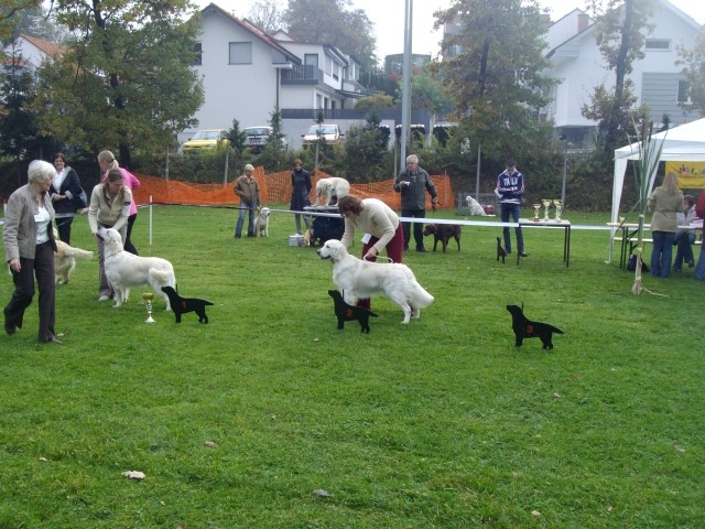 13.10.2007 - Razstava SKR Ljubljana-Brdo [Oce - foto