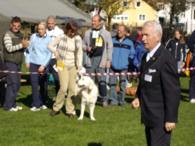 14.10.2007 - CAC Maribor [Ocena: Odlicno 1, P - foto povečava