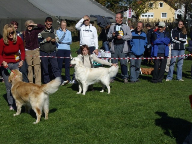 14.10.2007 - CAC Maribor [Ocena: Odlicno 1, P - foto