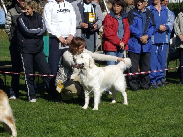 14.10.2007 - CAC Maribor [Ocena: Odlicno 1, P - foto povečava