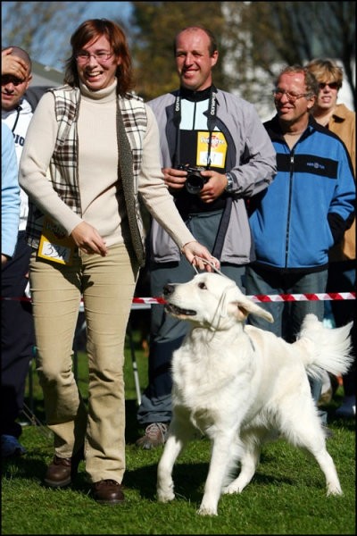 14.10.2007 - CAC Maribor [Photo by Svarci] - foto