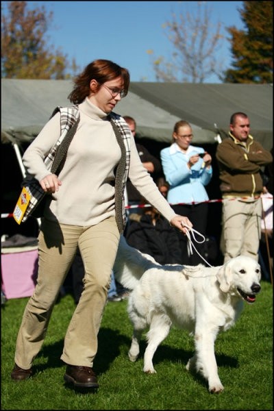 14.10.2007 - CAC Maribor [Photo by Svarci] - foto