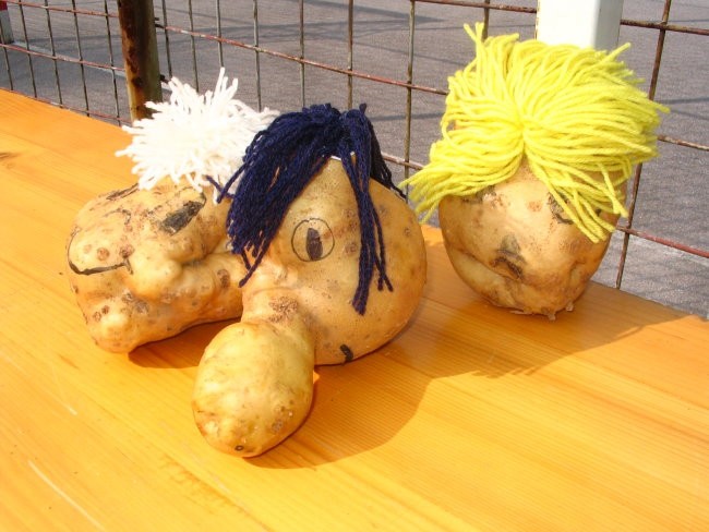 Krompirjev piknik - foto povečava