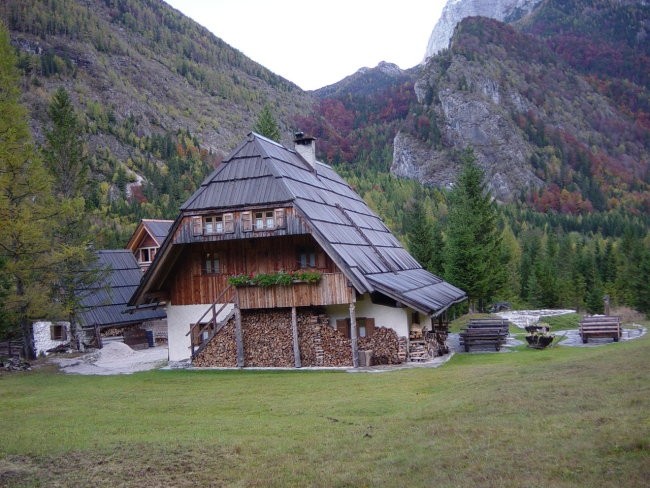 Test222 - foto povečava