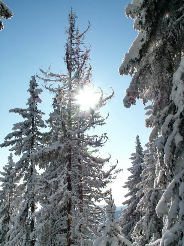 Uršlja gora; 20.12.2009 - foto povečava