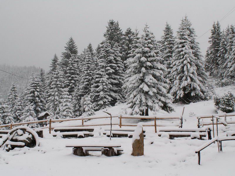 Golte; 17.10.2010 - foto povečava