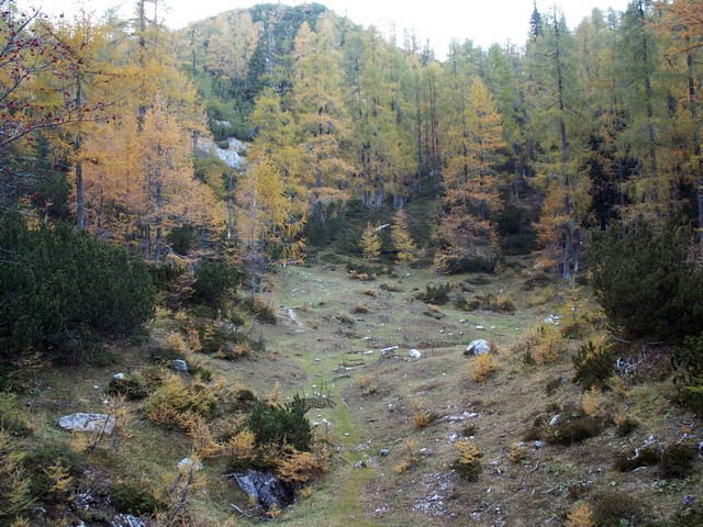 Povratek na Planino Ravne