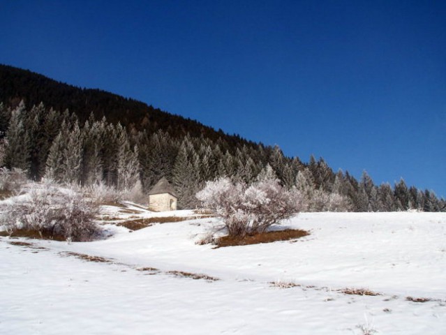 Na travniku