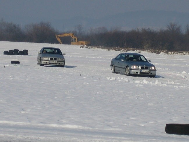 Snegec - foto povečava