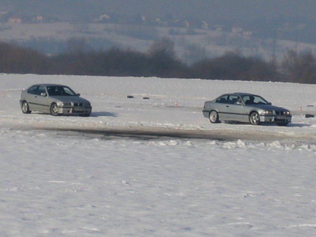 Snegec - foto povečava