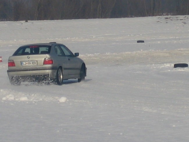 Snegec - foto povečava