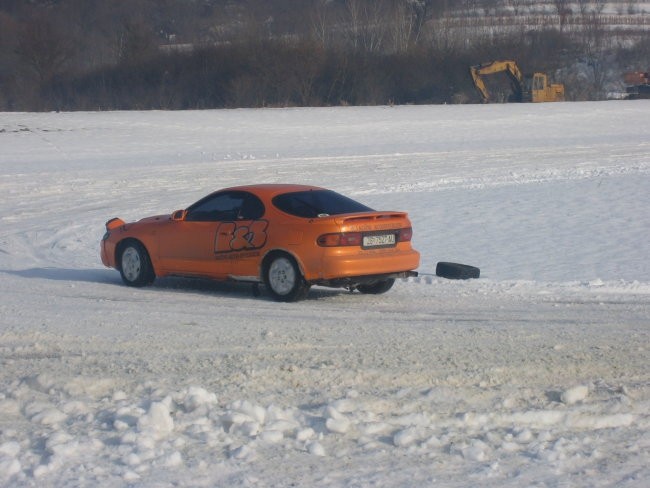 Snegec - foto povečava