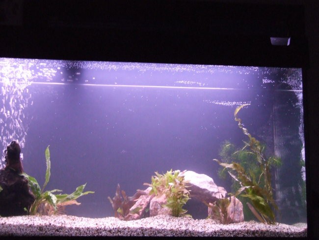 Akvarij 60 l in 240 l - foto povečava