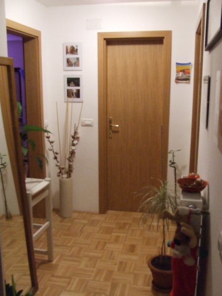 Pogled od vhodnih vrat proti dnevni sobi na levi, kopalnici naravnost in spalnici na desni