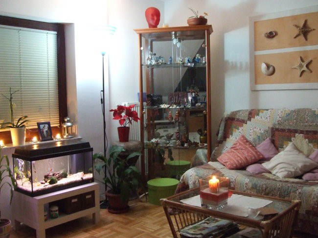 Pogled od računalnika proti kavču in vitrini s spominki