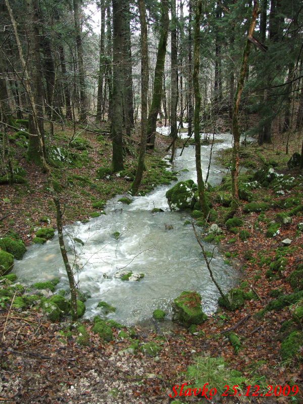 Poplave - foto povečava