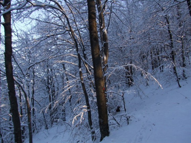 Menišija in okolica - foto