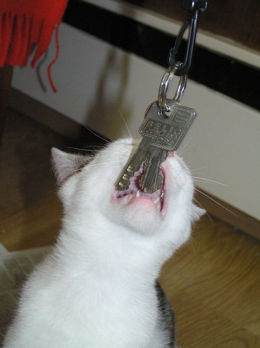 Mižek je ključe:-)