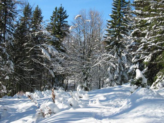 Sleme nov 2006 - foto povečava