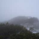 rušje na poti