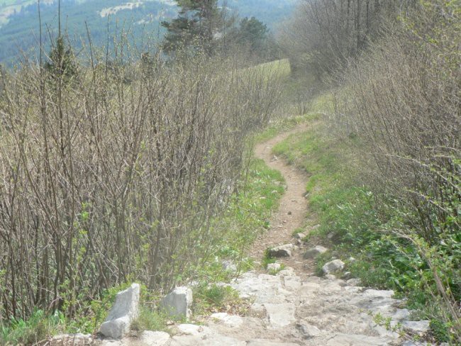 Javornik,slivnica,lovrenc - foto povečava