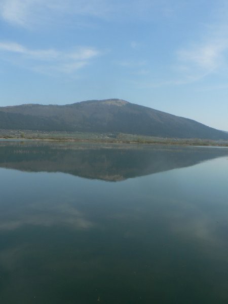 Javornik,slivnica,lovrenc - foto povečava