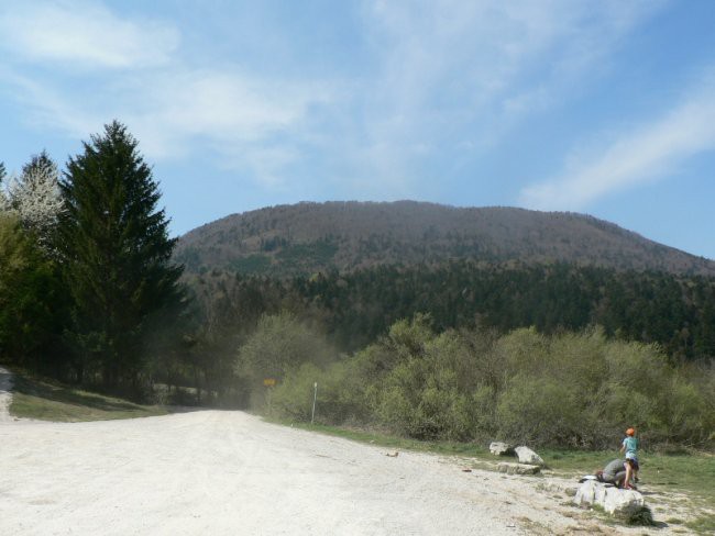 Javornik,slivnica,lovrenc - foto povečava