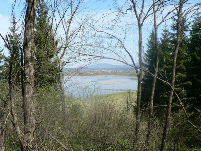 Javornik,slivnica,lovrenc - foto povečava