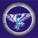 PRODAJALEC 
CONTROLE LAMIS, CARUS LAPIS
ZAGREBŠKA CESTA 90
2000 MARIBOR
TEL: 02 460 50