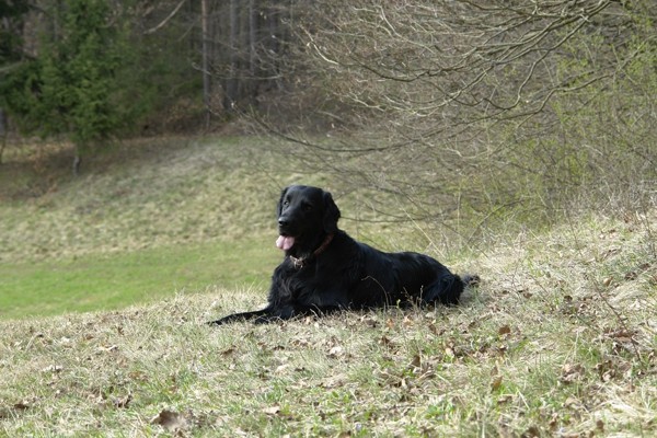 Poletje 2008 - foto
