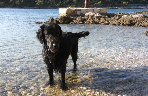 Mali Lošinj, Červar 2008 - foto