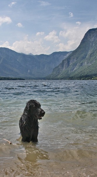 Bovec, Bohinj, Viševnik, Blegoš, Iški Vintgar - foto povečava