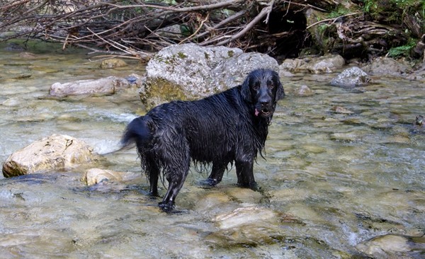 Bovec, Bohinj, Viševnik, Blegoš, Iški Vintgar - foto povečava