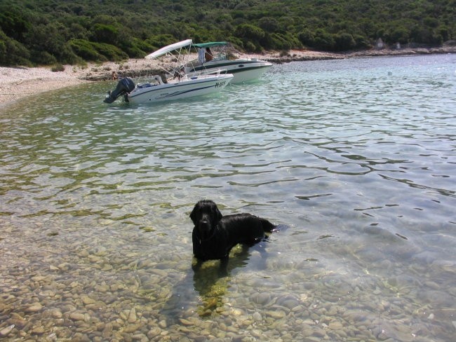 Mali Lošinj 28.6.-15.7.06 - foto povečava