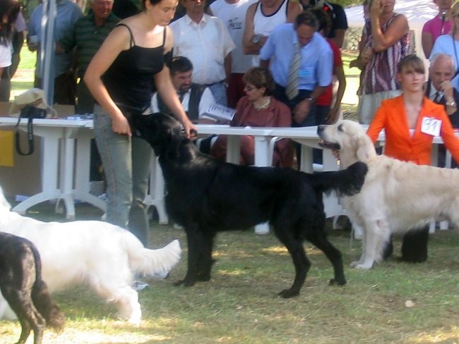 CAC Pula - foto povečava