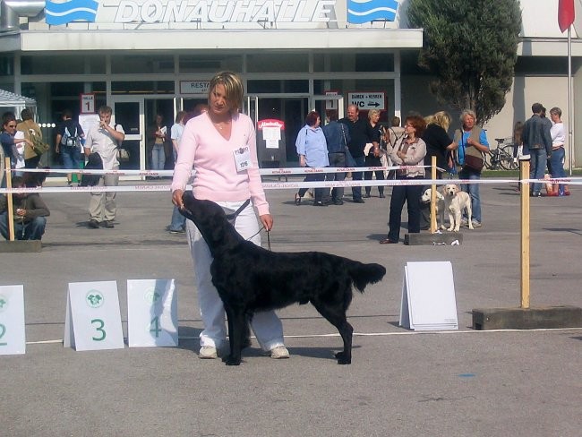 IHATulln 30.9.2006 - foto povečava