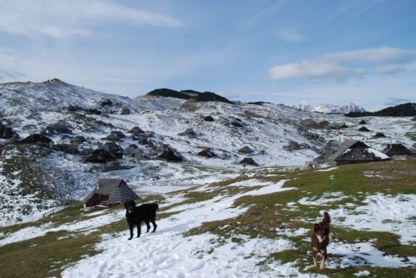 Spy in Luta, v ozadju pa Velika Planina